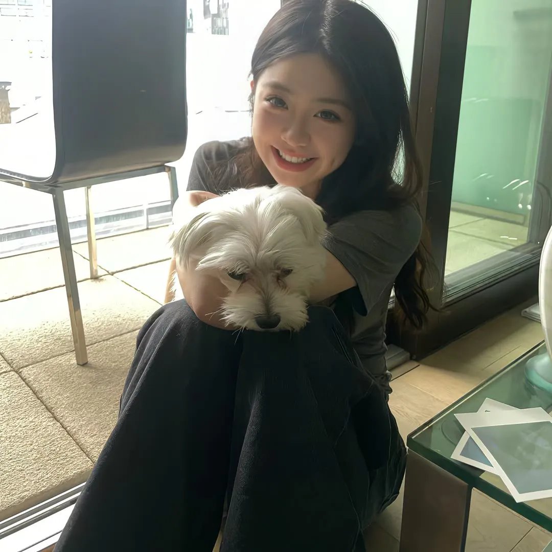 风骚律师第一季